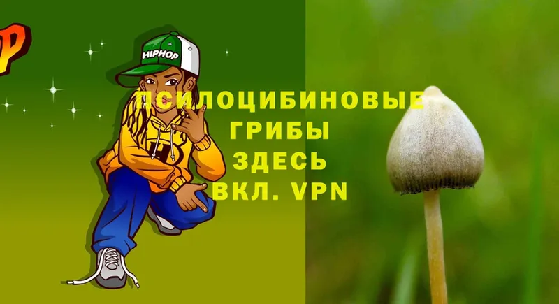 ОМГ ОМГ   Поворино  Псилоцибиновые грибы Psilocybe 